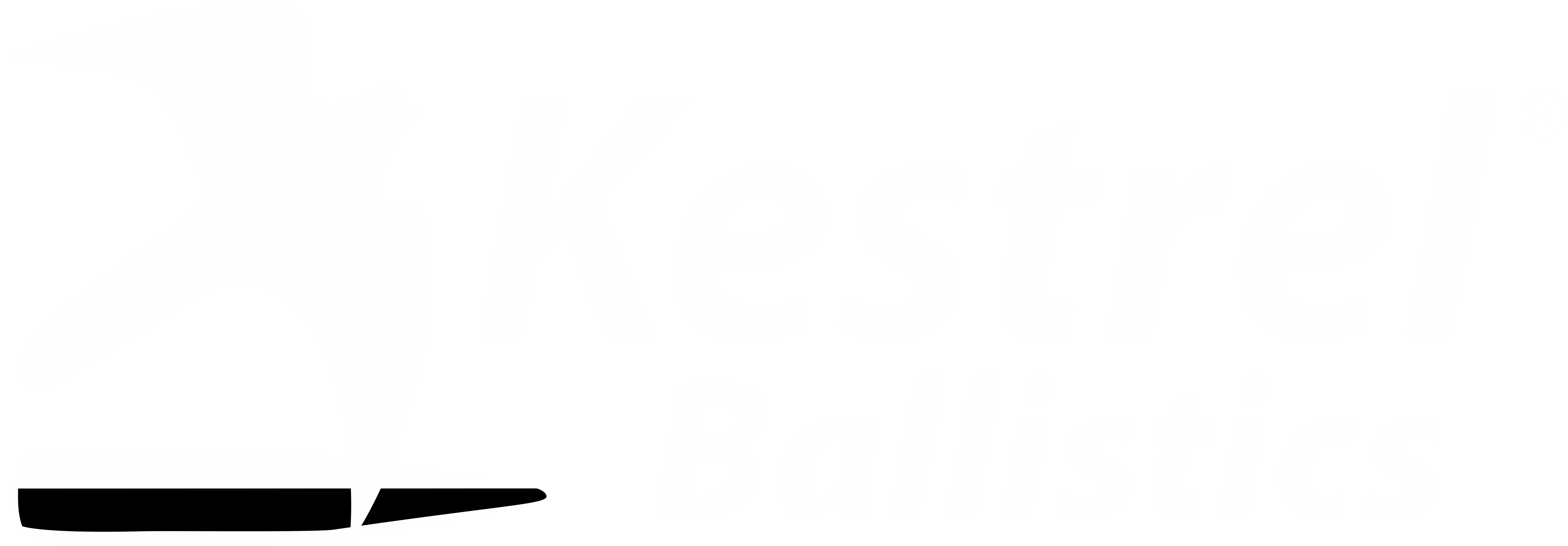 Kestrel